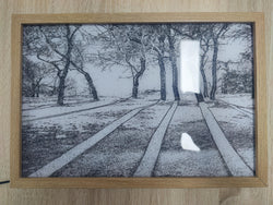 Illuminated Picture Deal #56