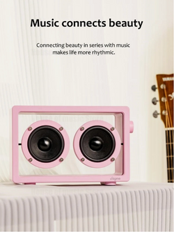 Bass Retro Speaker Deal #22