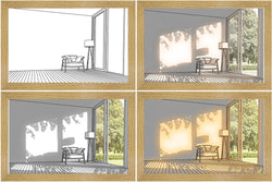 Illuminated Picture Deal #56